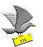 Pigeon Voyageur
