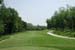 Hole 4 the drive